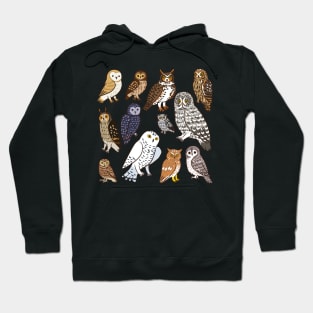 Cute owls kinds Hoodie